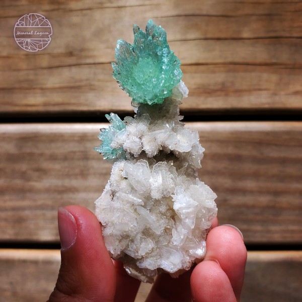Green Apophyllite|Fluorapophyllite with Stilbite, 51g